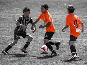 开云体育连接-NBA球员训练营活动，nba球员训练营活动安排