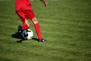 开云app-意甲青训体系中融入情绪调节训练的效果评估，意甲青训体系中融入情绪调节训练的效果评估