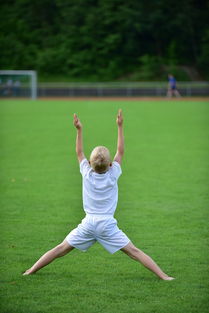 开云体育入口-高校体育专业课程体系动态调整研究，全国普通高校体育教育专业课程方案